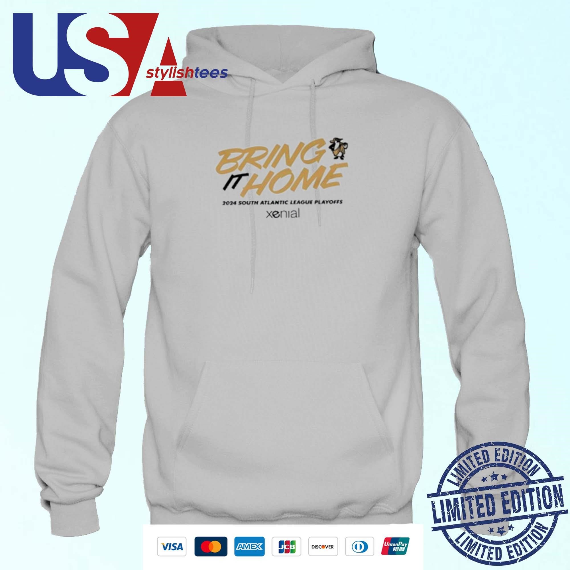 Bring It Home 2024 South Atlantic League Playoffs Hoodie